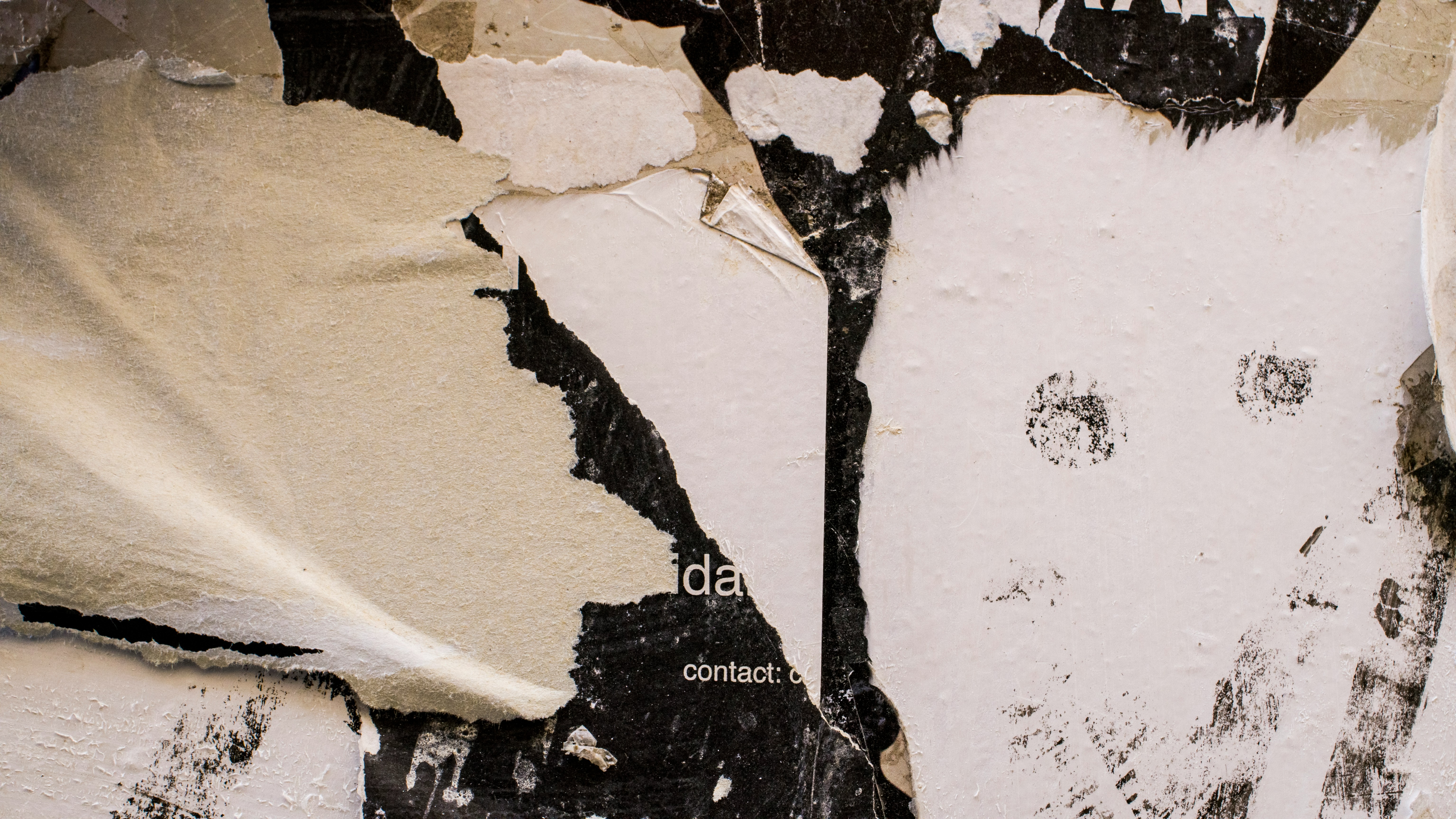 A Brief History of a Beginning