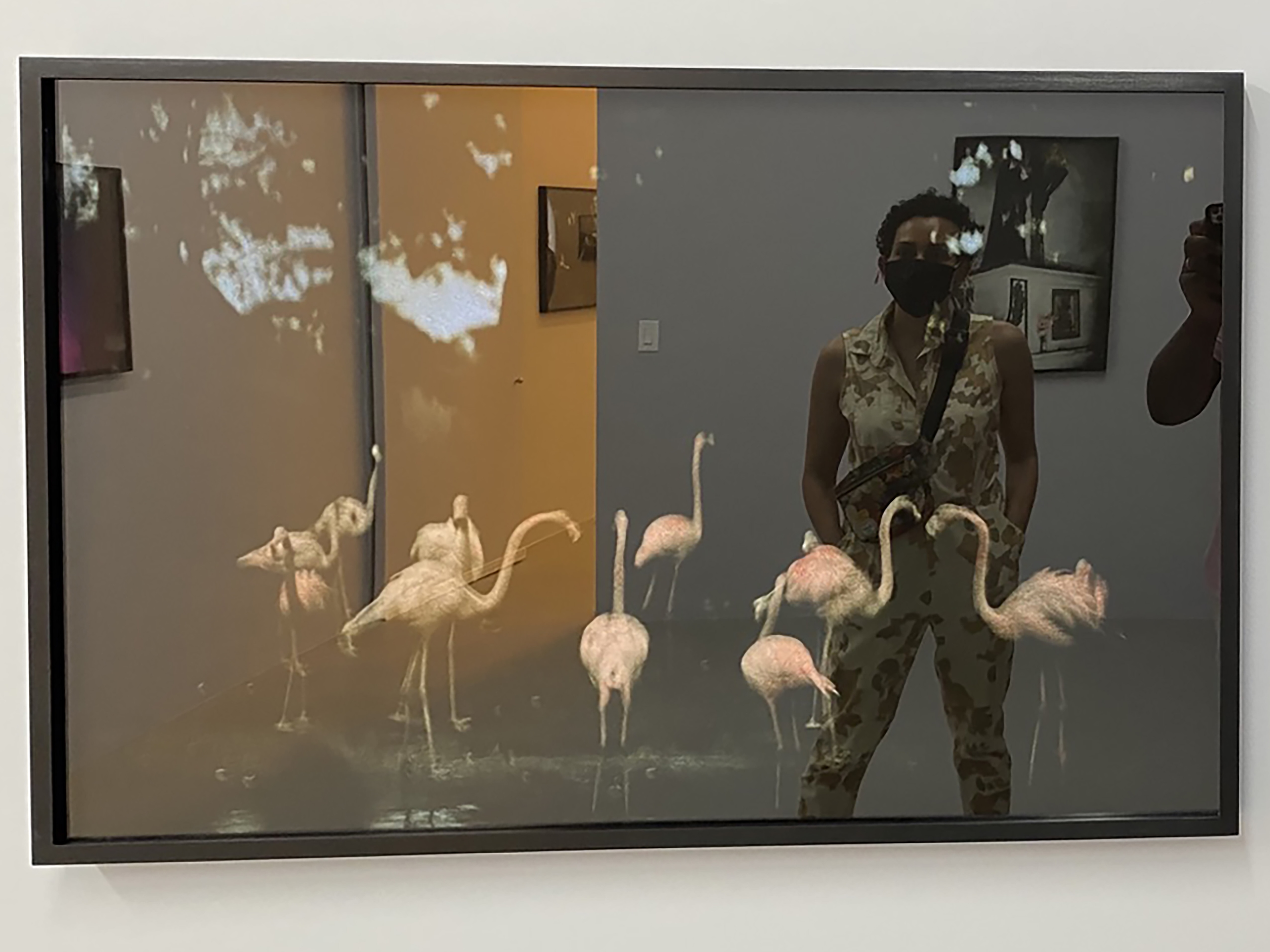 Thinking with Sensation: An Interview with Amber Jamilla Musser 