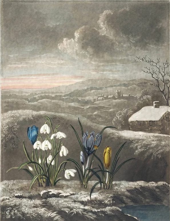 Mixtape #8: Spring Cleaning